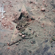 Illustration for article titled Man Who Smashed Trumps Walk of Fame Star Reportedly Being Bailed Out by Previous Guy Who Did That